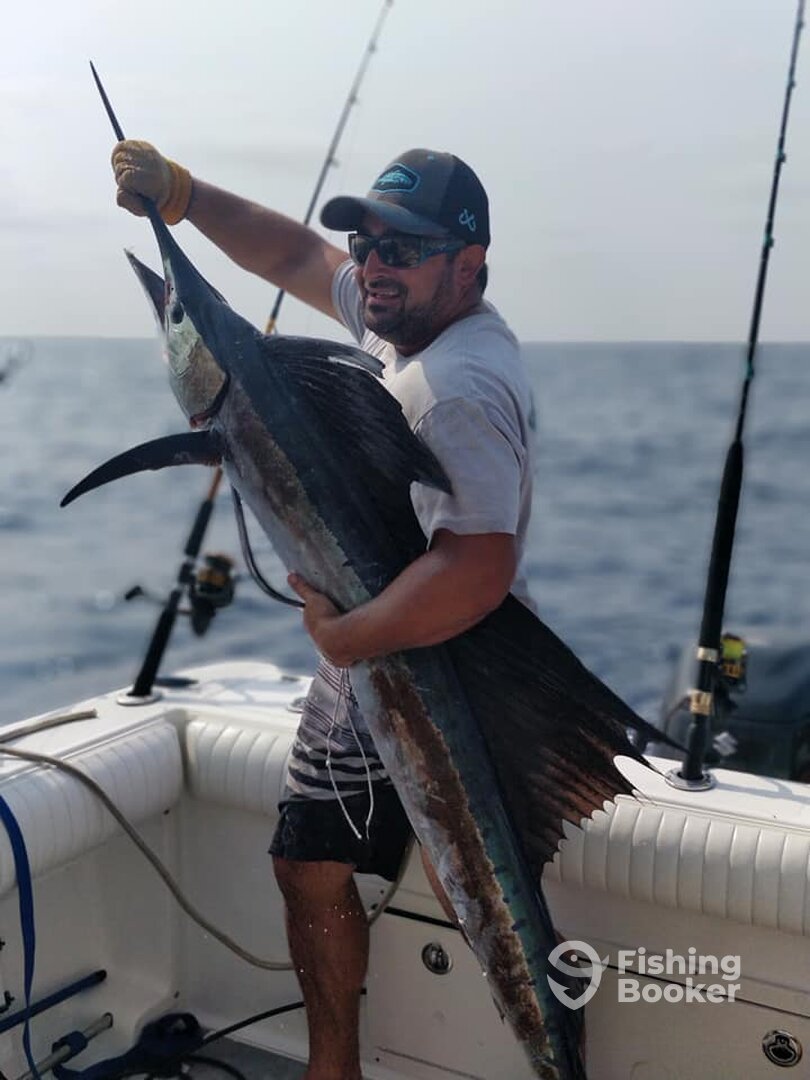 Cartagena de Indias Report Photo 0