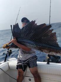 Cartagena de Indias Report Photo 1