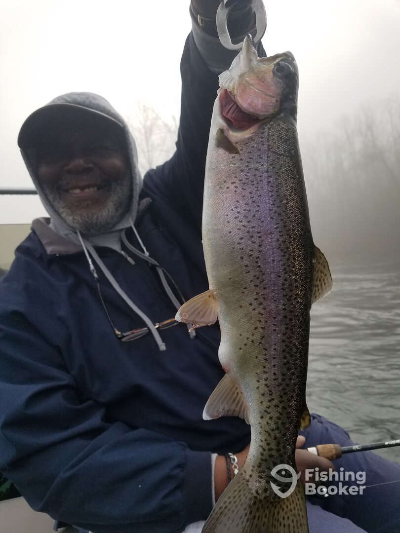 Branson Report Photo 0