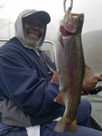 Branson Report Photo 1
