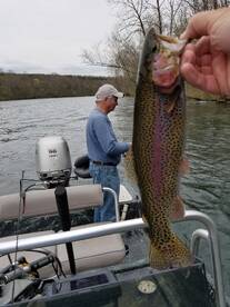 Branson Report Photo 2