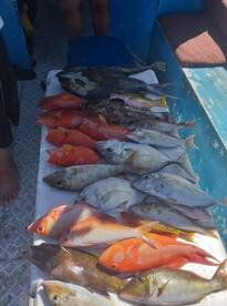 Cuvu Report Photo 1