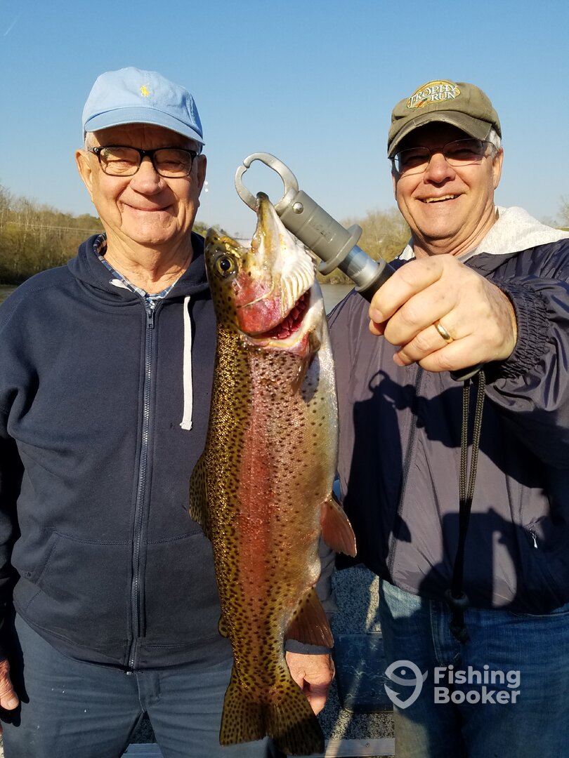 Branson Report Photo 0