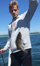 Navarre Report Photo 2