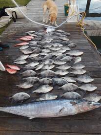 Spring fishing is here! BOOK YOUR TRIP!