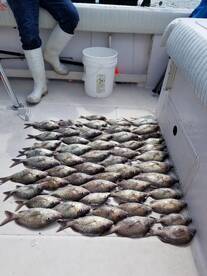 Clearwater Report Photo 1