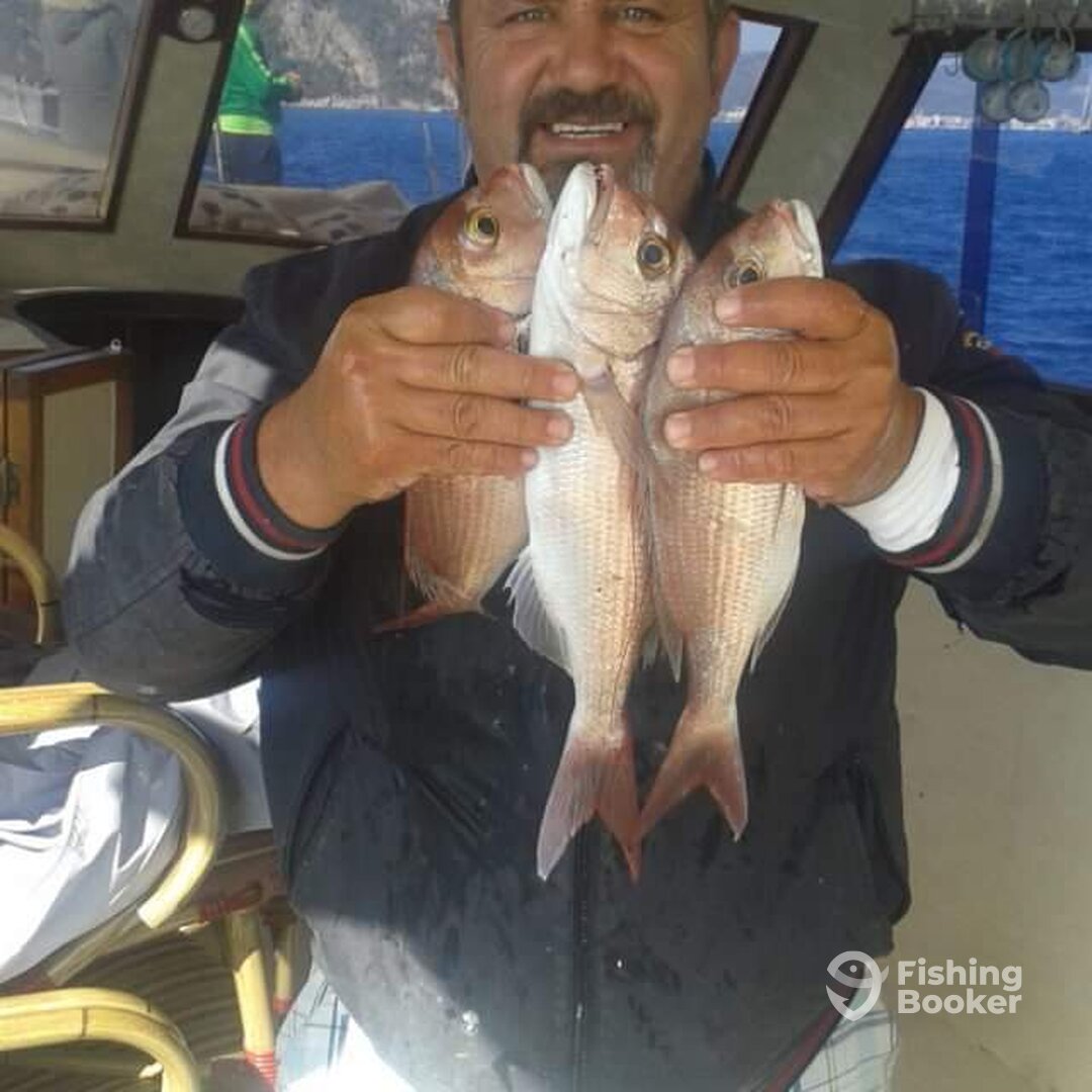 Marmaris Report Photo 0