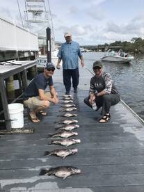 Virginia Beach Report Photo 2