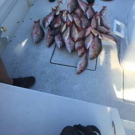 Fort Pierce Report Photo 1