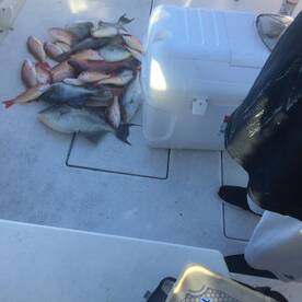 April fishing so far