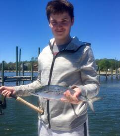 Navarre Report Photo 2