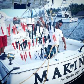 best teaser there it is for billfish...