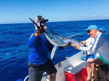 One nice day of Marlin Fishing