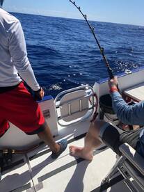 Punta Cana Report Photo 1