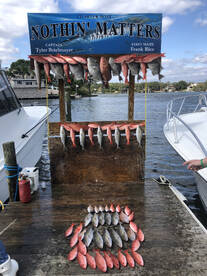 Destin Report Photo 1