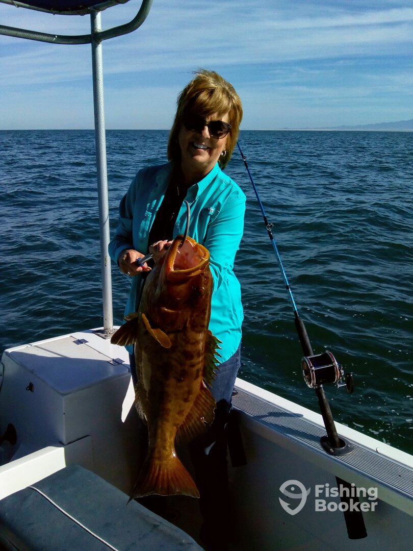 Puerto Peñasco Report Photo 0