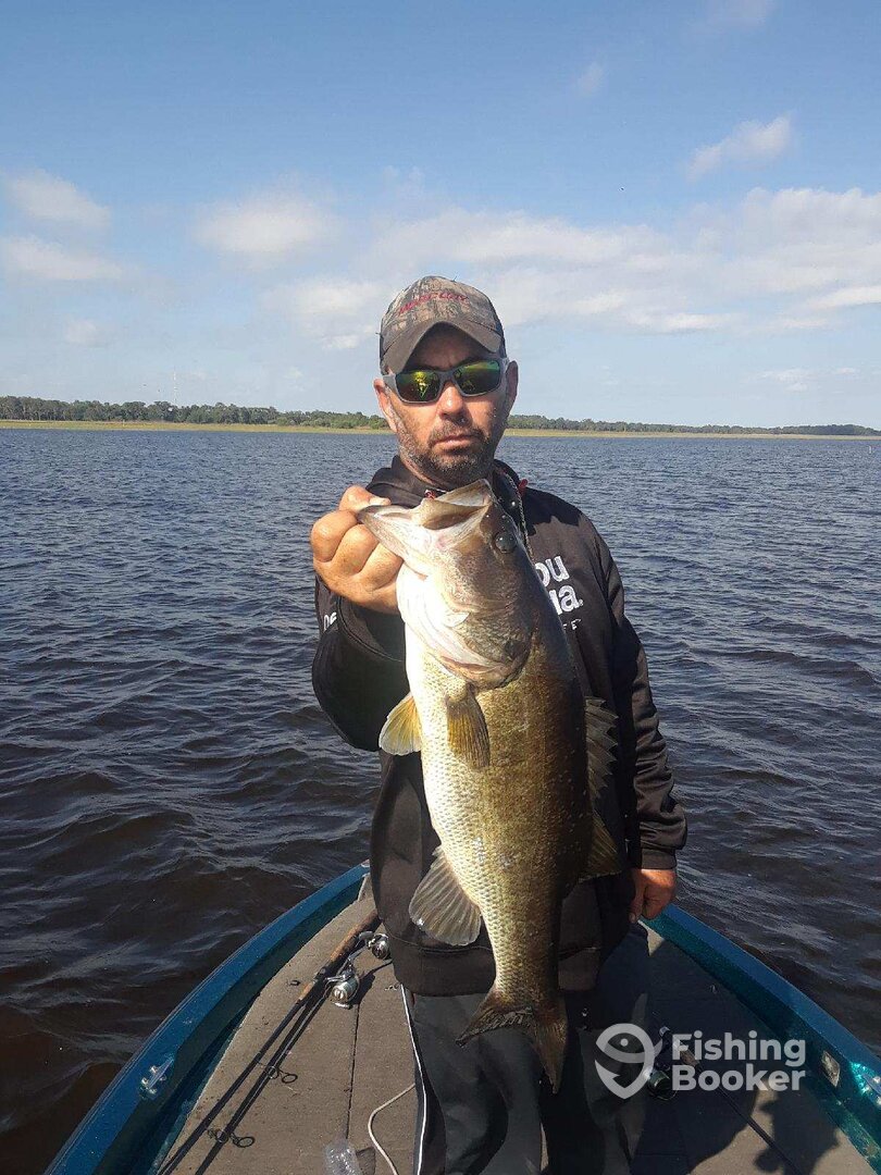 Tarpon Springs Report Photo 0