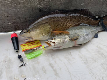 The frenzy continues, Reds, Reds and mor