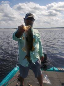 Tarpon Springs Report Photo 1