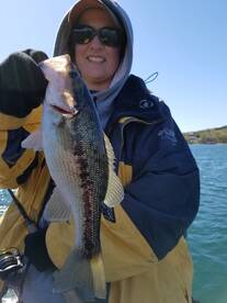 Branson Report Photo 1
