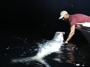 Miami Tarpon Fishing