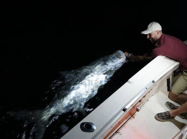 Miami Tarpon Fishing