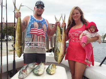 Dolphin Dolphin Dolphin