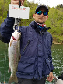 Branson Report Photo 1