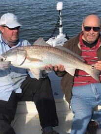 Big redfish 