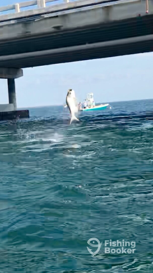Big Pine Key Report Photo 0