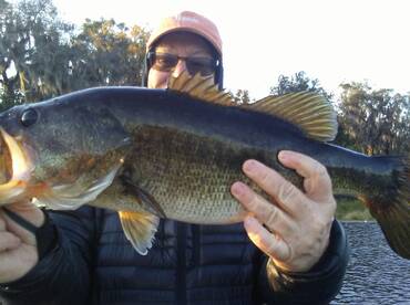 Come out with a professional who knows w