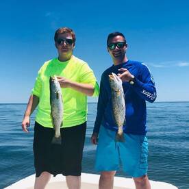 Crystal River Report Photo 1