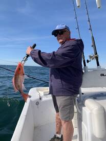 Orange Beach Report Photo 1