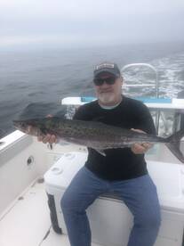 King mackerel