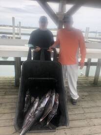 Orange Beach Report Photo 1