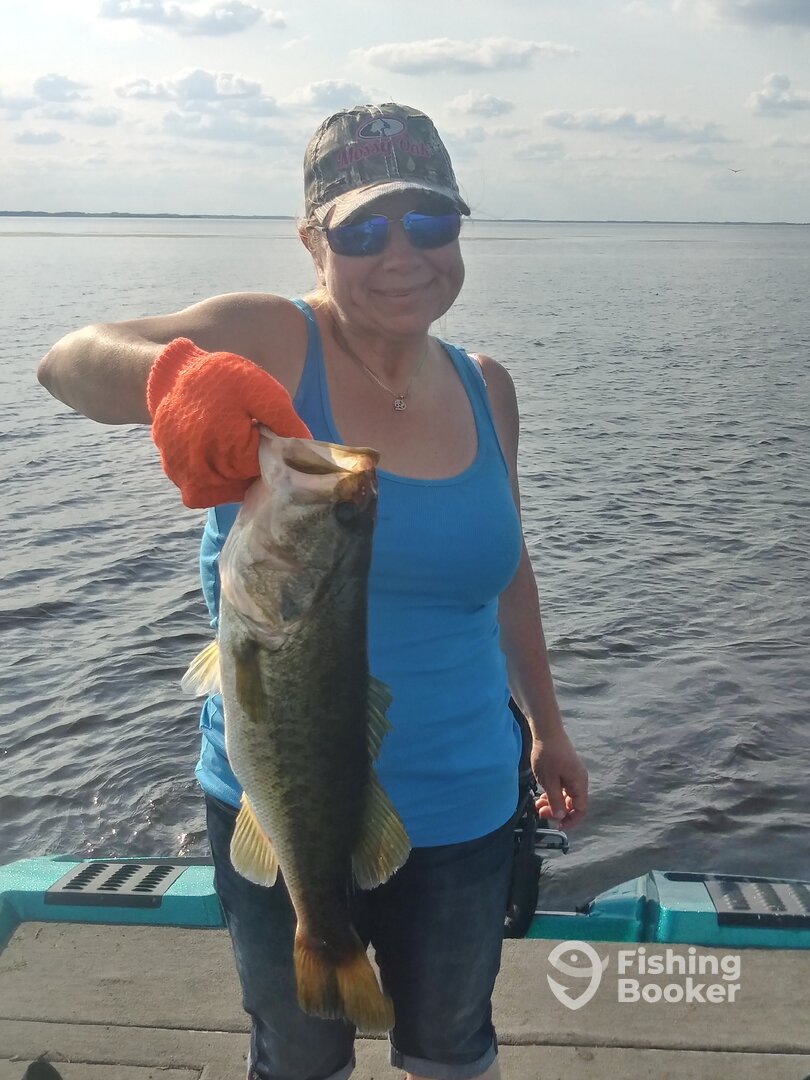 Tarpon Springs Report Photo 0