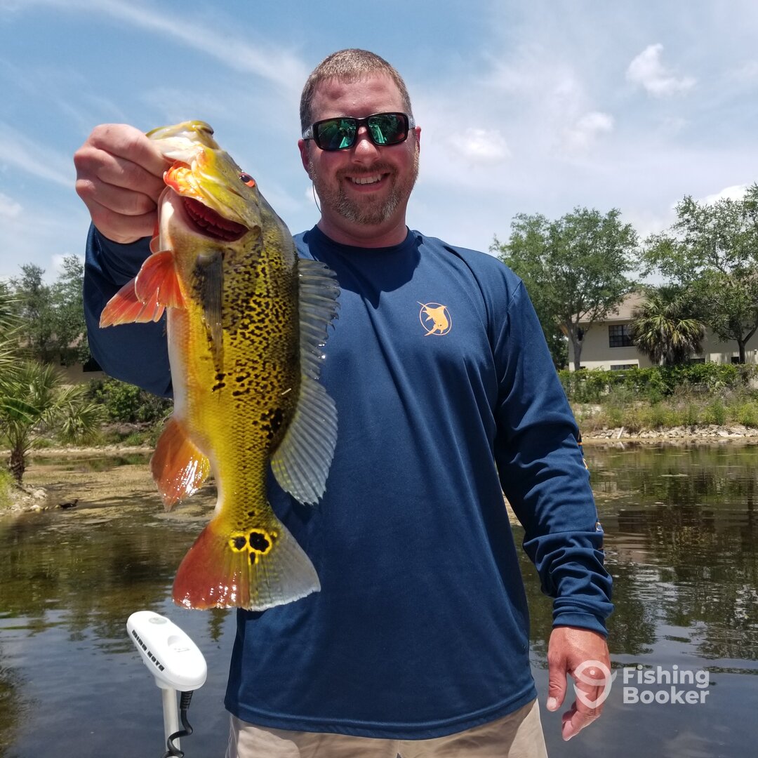 Bonita Springs Report Photo 0