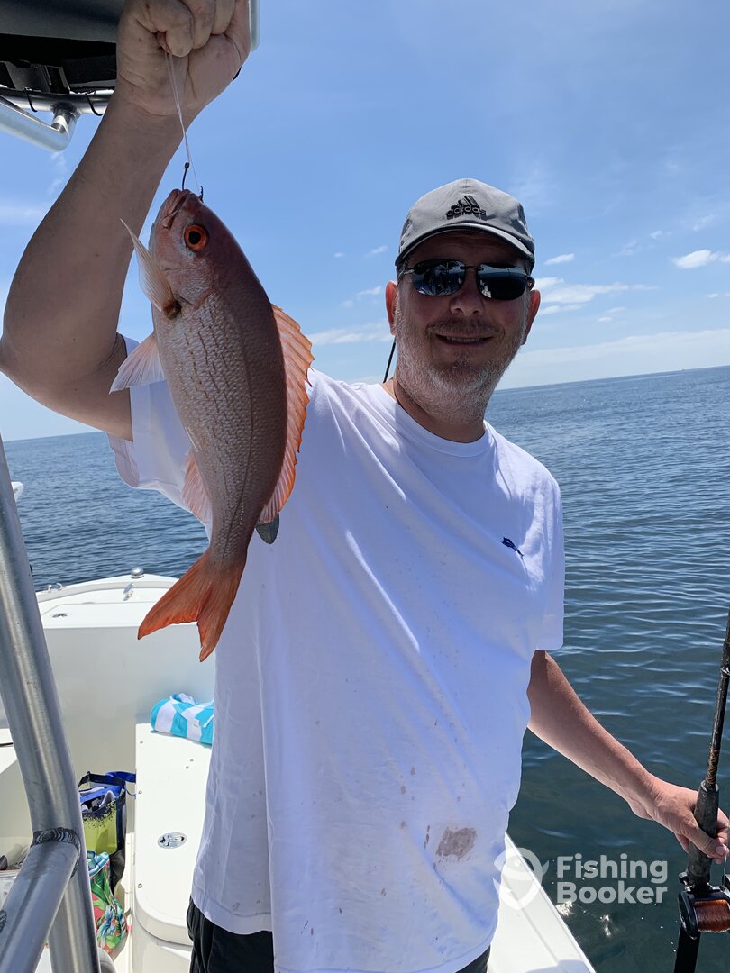 Orange Beach Report Photo 0