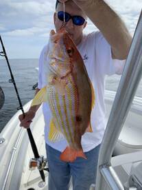 Orange Beach Report Photo 1