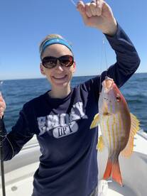 Orange Beach Report Photo 2