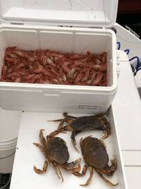 Port Moody Report Photo 2