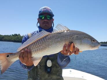 Sarasota Report Photo 2