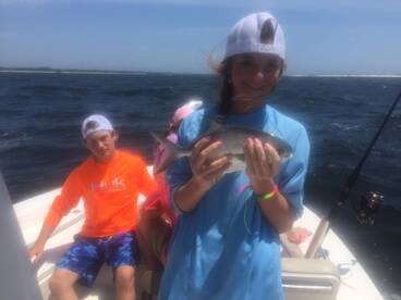 Navarre Report Photo 1