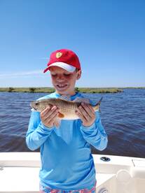 St. Bernard Report Photo 1