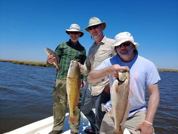 St. Bernard Report Photo 2