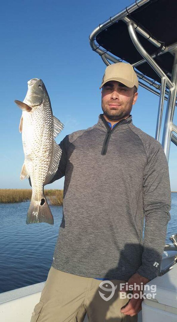 Grand Isle Report Photo 0