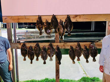 Aransas Pass Report Photo 2