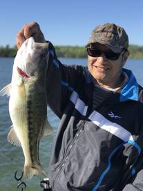 Cumming Report Photo 1