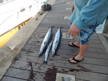 Chris looking at his catch