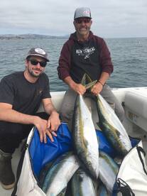 Yellowtail Biting at San Clemente Island